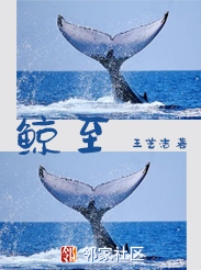 鲸至